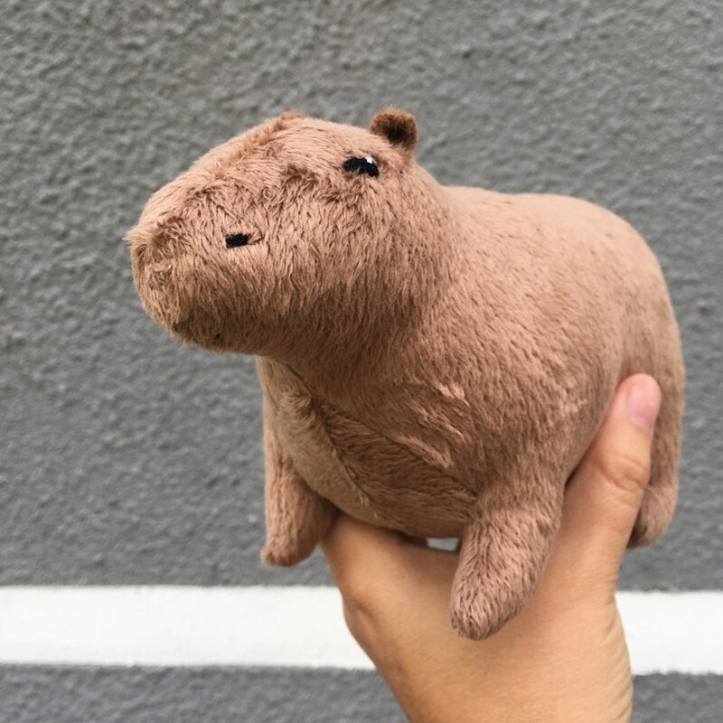 ùķ̼ Capybara  , Ϳ Capybara  ..